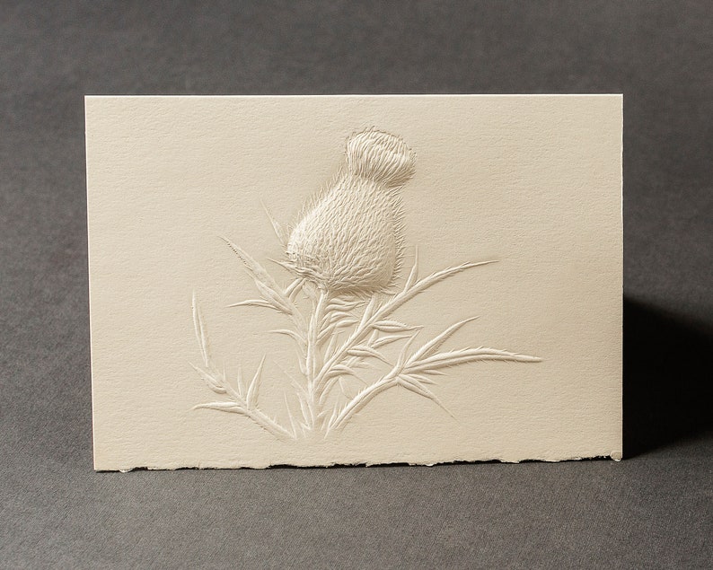 8 Thistle Embossed Cards. Stationery Gift. Floral Etsy Canada