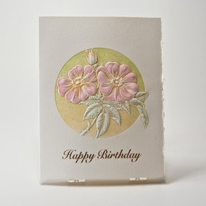 Carte de joyeux anniversaire. Carte d'anniversaire typographique. Carte d'anniversaire en or. Carte d'anniversaire rose sauvage. Une seule carte ou un jeu de 6 cartes. Blanc à l'intérieur.