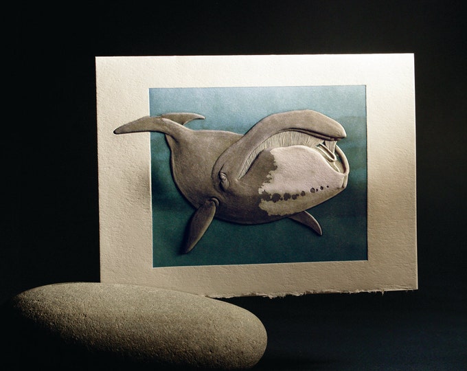 Bowhead Whale Card Letterpress Sea life card.Set of 6 cards or Single card. Blank inside.