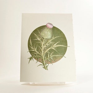 Carte Thistle Carte de fleurs en typographie Carte de fleurs en relief Jeu de 6 cartes ou une carte. Blanc à l'intérieur.
