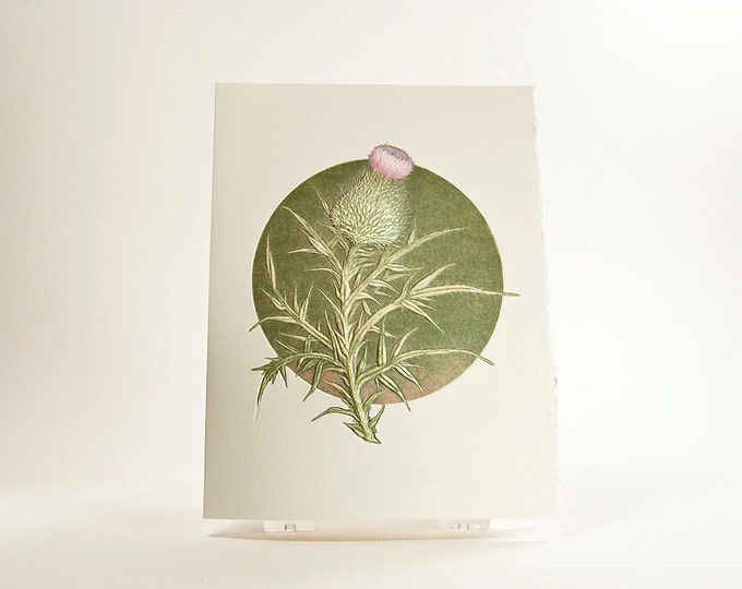 Thistle Card Letterpress flower card Embossed flower card Set of 6 cards or Single card. Blank inside.