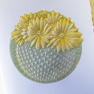 Typographie pour cartes Cactus. Carte fleur du désert. Jeu de 6 cartes gaufrées ou carte unique. Blanc à l'intérieur.