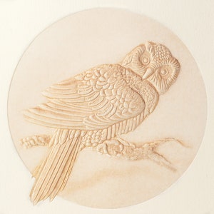 6 cartes chouettes en relief. Carte Oiseau. Carte de la faune. Carte hibou en relief. Carte nature. Carte chouette épervière.  Blanc à l'intérieur.