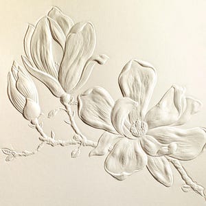 6 Magnolia Embossed Cards. Floral Stationery. Botanical Note Card Set ...