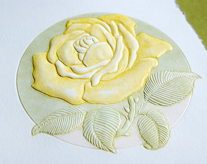 Yellow Rose Card. Letterpress floral card.Embossed Rose card. Set of 6 cards or Single card. Blank inside.