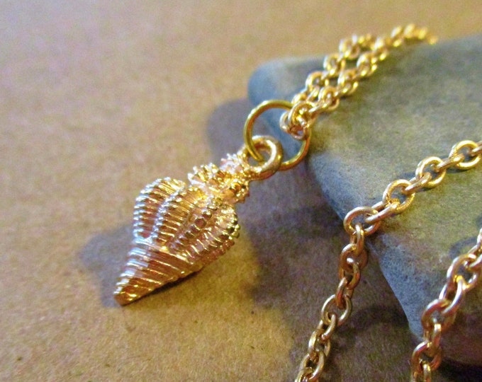 Tiny Gold Conch Shell Necklace Dainty Gold Chain Delicate Necklace ...