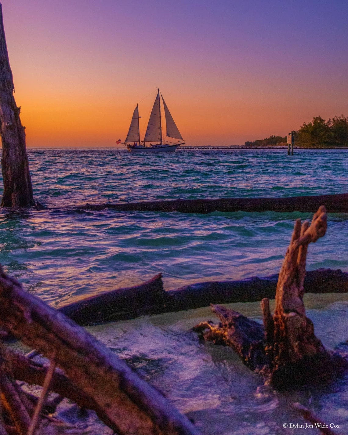 sunset sailboat sarasota