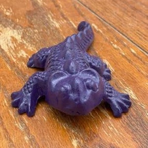 Horned Toad Horned Lizard Horny Toad Horned Frog Cast Iron TCU Horned Frog