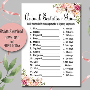 Floral baby shower Animal Gestation Game, DIY Printable, Boho Baby Shower Activity, Bohemian Flower Baby Shower INSTANT DOWNLOAD  021