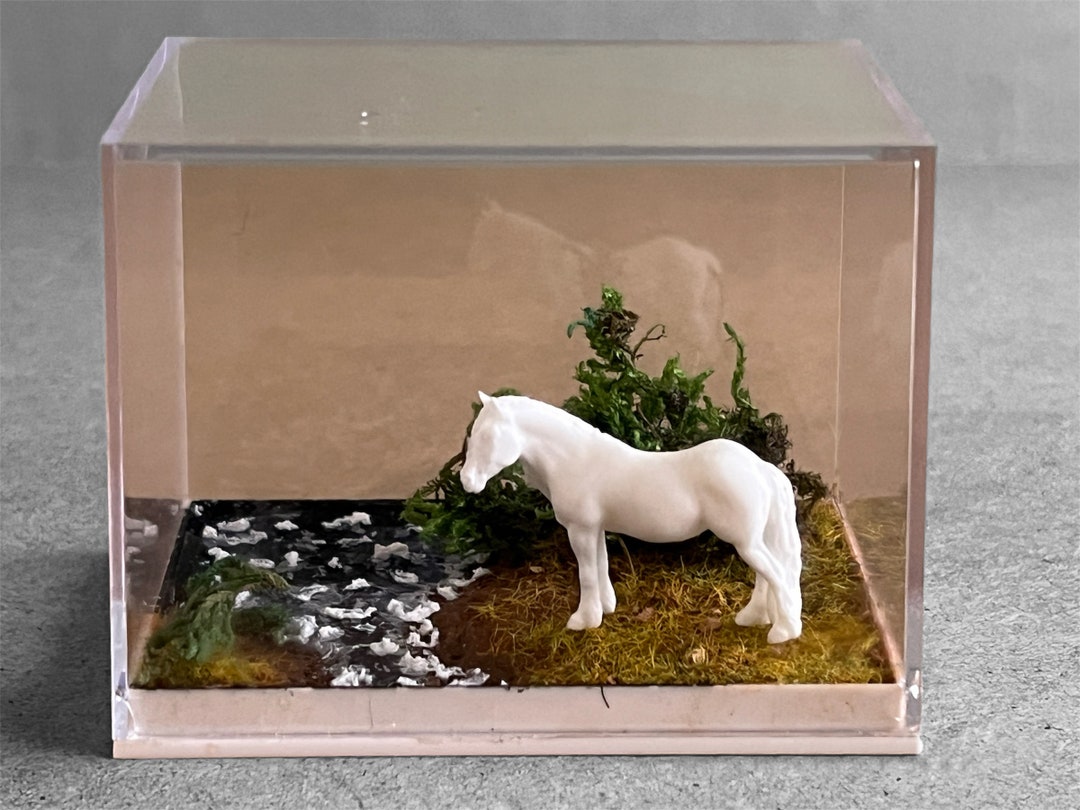 Micro Mini Model Horse Diorama Display Box Stream Scene - Etsy UK