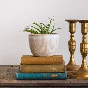 May include: Two gold metal candle holders with a stack of four books and a potted air plant on top. The books are brown and blue with gold lettering.