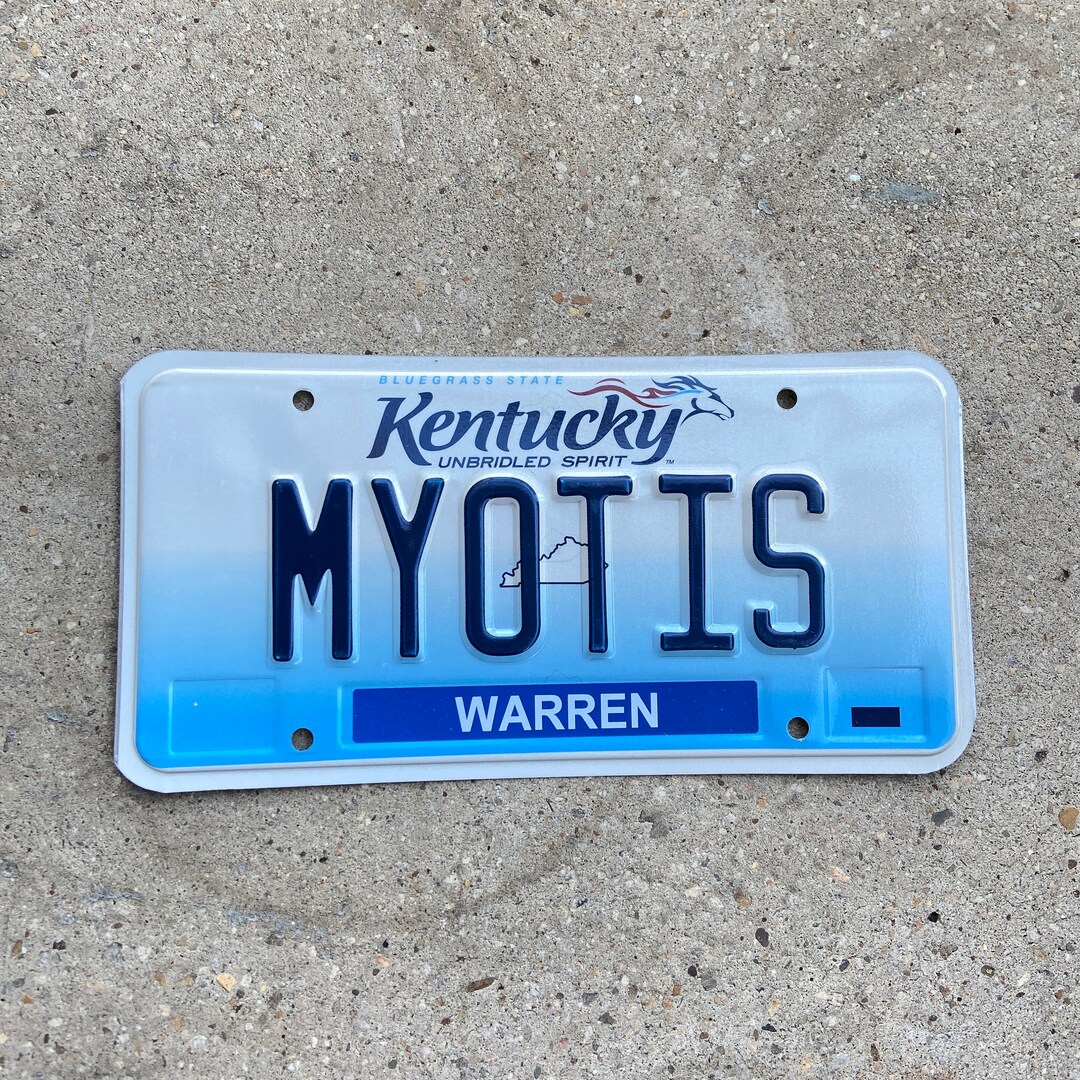 2005 Kentucky Vanity License Plate KY MYOTIS Bat Species Halloween