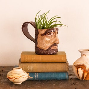 May include: A ceramic planter shaped like a man's face with a beard, holding a small green plant. The planter is sitting on a stack of books. A small, brown and white vase with a yellow flower is on the right side of the image.