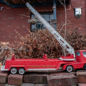 May include: A red toy fire truck with a ladder and the words "NY Fire Dept." on the side. The truck is parked on a pile of brown branches and twigs.