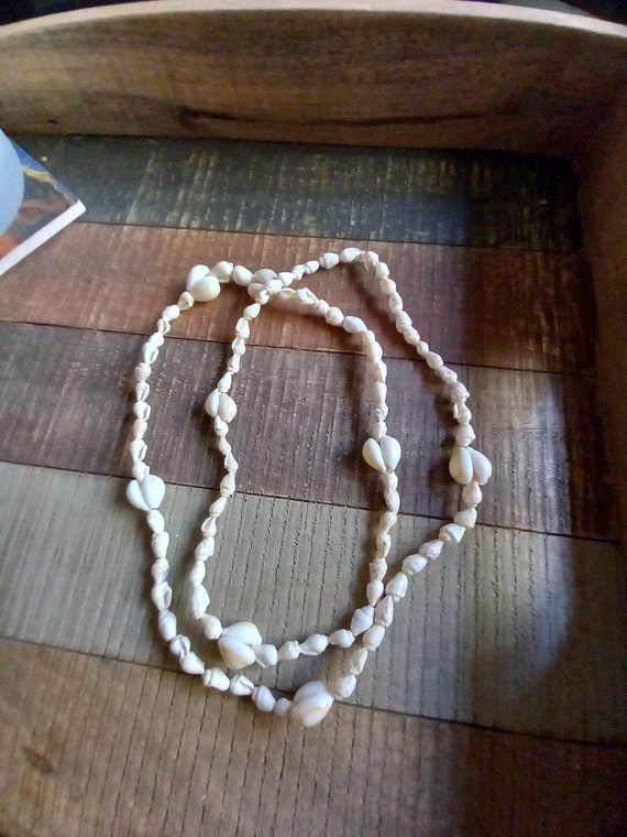 Seashell Neckless 36" made of Two Different Size … - image 1