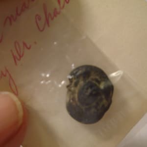 3rd Century Roman Papyrus Seal of a Face