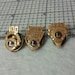 100% Attn. Lions Club pins