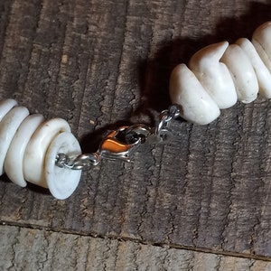 21&quot; Seashell Neckless made of pieces of Shell 5/8&quot; wide.