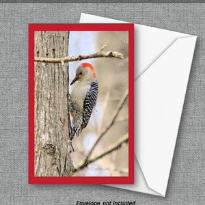 Alle Gelegenheit Grußkarte Printable Download Sofortiger Download Vogelbeobachter Vogelliebhaber Naturliebhaber Vogelliebhaber Specht Geburtstagsgruß