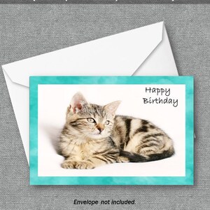 Cartão de aniversário para impressão, download instantâneo de cartão de aniversário, amante de animais de estimação, amante de gatos, cartão de aniversário de criança, interior em branco