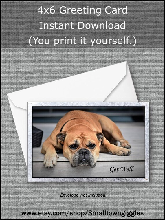 Beagle Get Well Printable Digital Card Downloadable Dog Lover | Etsy