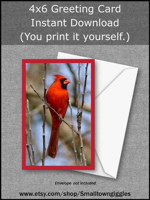 All Occasions Greeting Card Printable Greeting Card Instant | Etsy