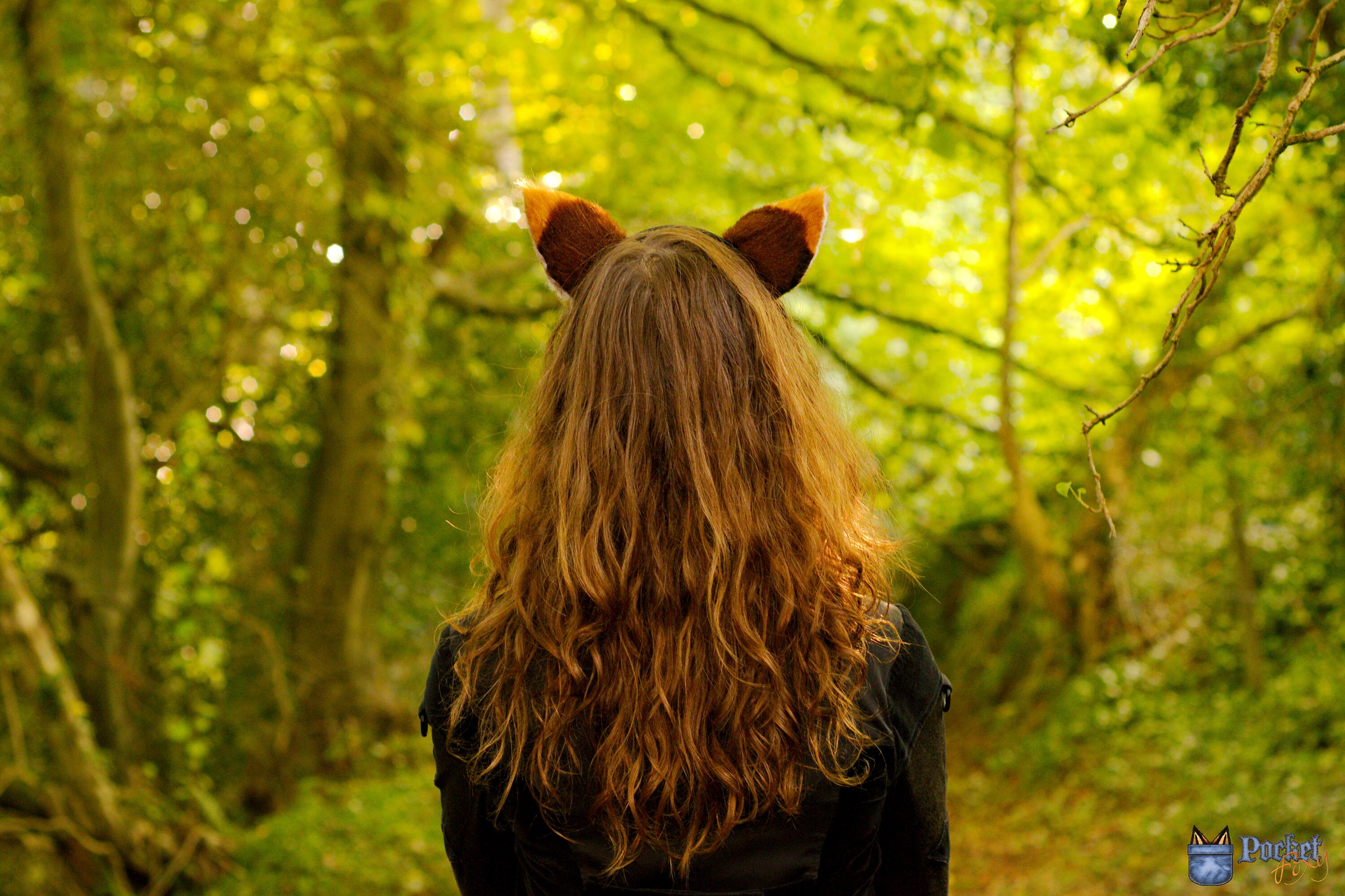 Ginger Cat Ears & Tail Set 20 Long Perky Ginger Cat Etsy UK