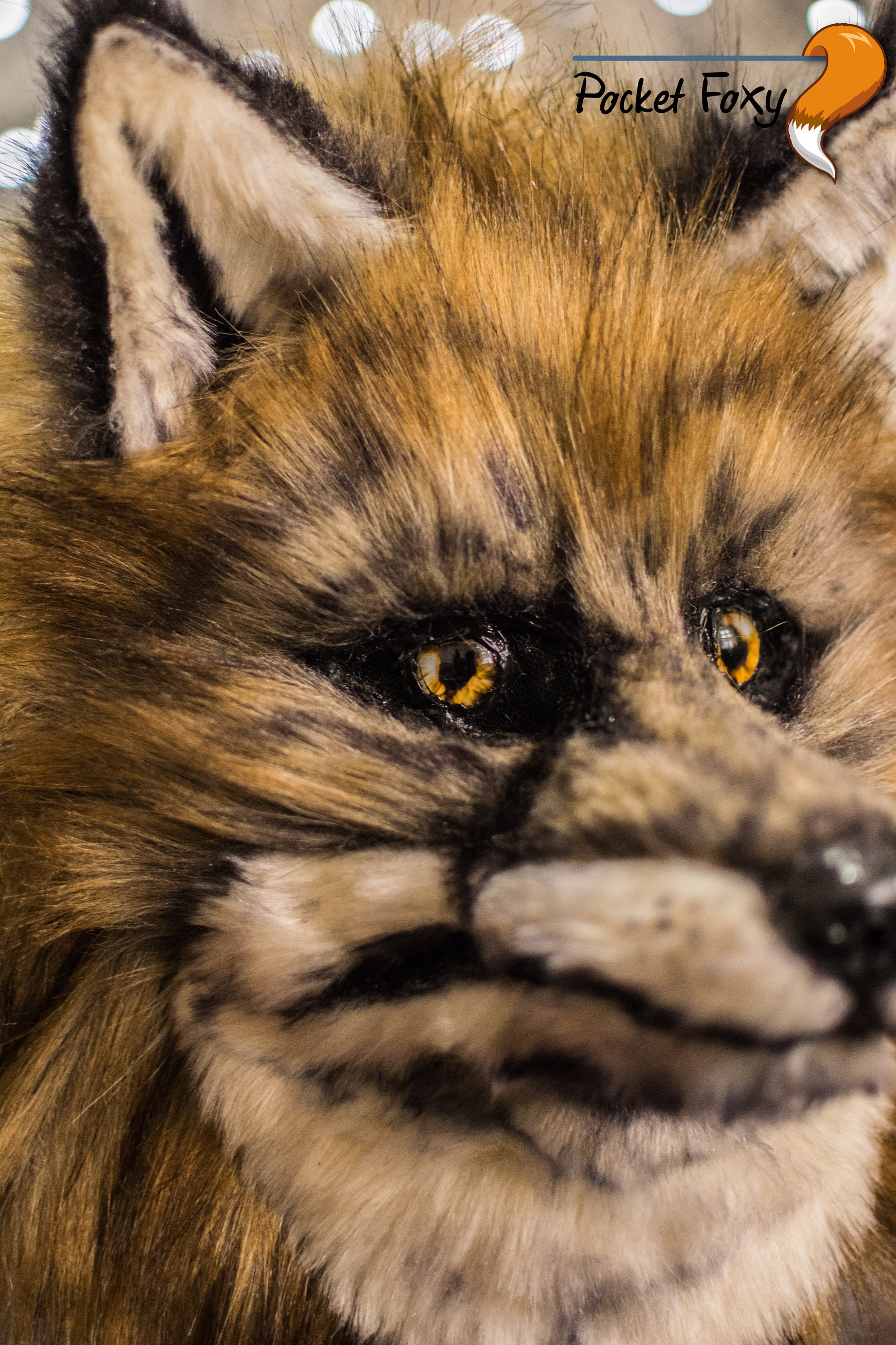 Realistic Looking Fox Fursuit Head. Hyper Realistic Fox Mask | Etsy