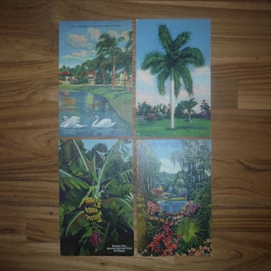 4 Vintage Florida Linen Postcards - 1940's - 1950's Florida Linen Postcard Ephemera Lot - Vintage Cypress Gardens Bananas Tropical Postcards
