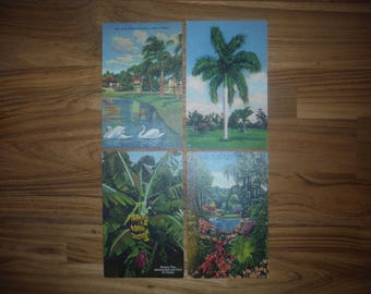 4 Vintage Florida Linen Postcards - 1940's - 1950's Florida Linen Postcard Ephemera Lot - Vintage Cypress Gardens Bananas Tropical Postcards