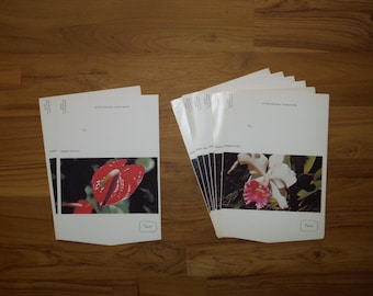 8 Vintage Retro Hawaiian Aloha Notes - Vintage 1970's Hawaii Flowers Anthurium Orchid Stationary Notes - Mid Century Hawaii Journal Ephemera
