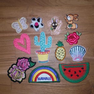 May include: A selection of embroidered patches in diverse shapes and colours. Designs include a butterfly, flower, cactus, rabbit, rose, pineapple, seashell, and watermelon. One patch features a rainbow with the word "HAWAII".