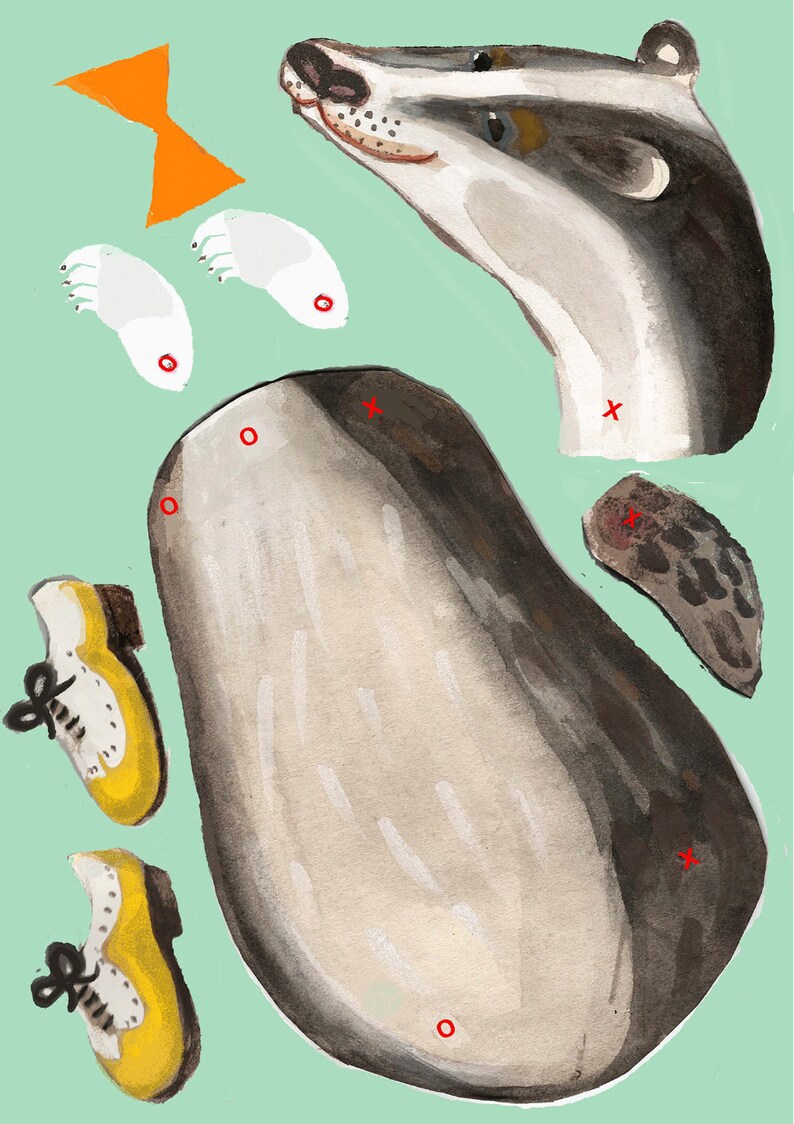 Puede incluir: Ilustraci&oacute;n en acuarela de un tej&oacute;n con partes del cuerpo separadas, incluyendo cabeza, torso, patas y pajarita. Tambi&eacute;n se incluyen dos zapatos amarillos y blancos. El fondo es de color verde claro.