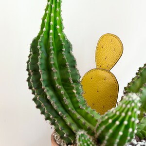 leather cactus decor // planter decor // fake cactus plant // modern home decor // boho decor // forever cactus // luxurious faux cactus image 6