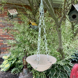 May include: A white chain hangs from a tree branch, suspending a pale pink glass bowl with a decorative pattern. The bowl is hanging over a green leafy plant and a vintage metal container with the text "Ford Motor Co. Detroit, Mich."
