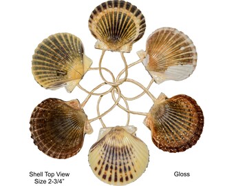 Scallop Shell ORNAMENTS/Napkin Rings - 6/Set (Shell Size 2-3/4") [Gloss] ~ Authentic / Handmade / Direct from Nantucket - GREAT Gift Item!