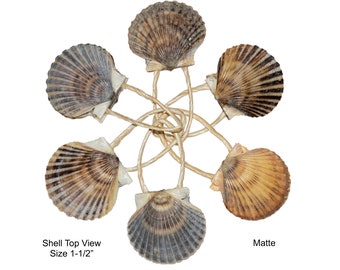 Scallop Shell ORNAMENTS/Napkin Rings - 6/Set (Shell Size 1-1/2") [Matte] ~ Authentic / Handmade / Direct from Nantucket - GREAT Gift Item!