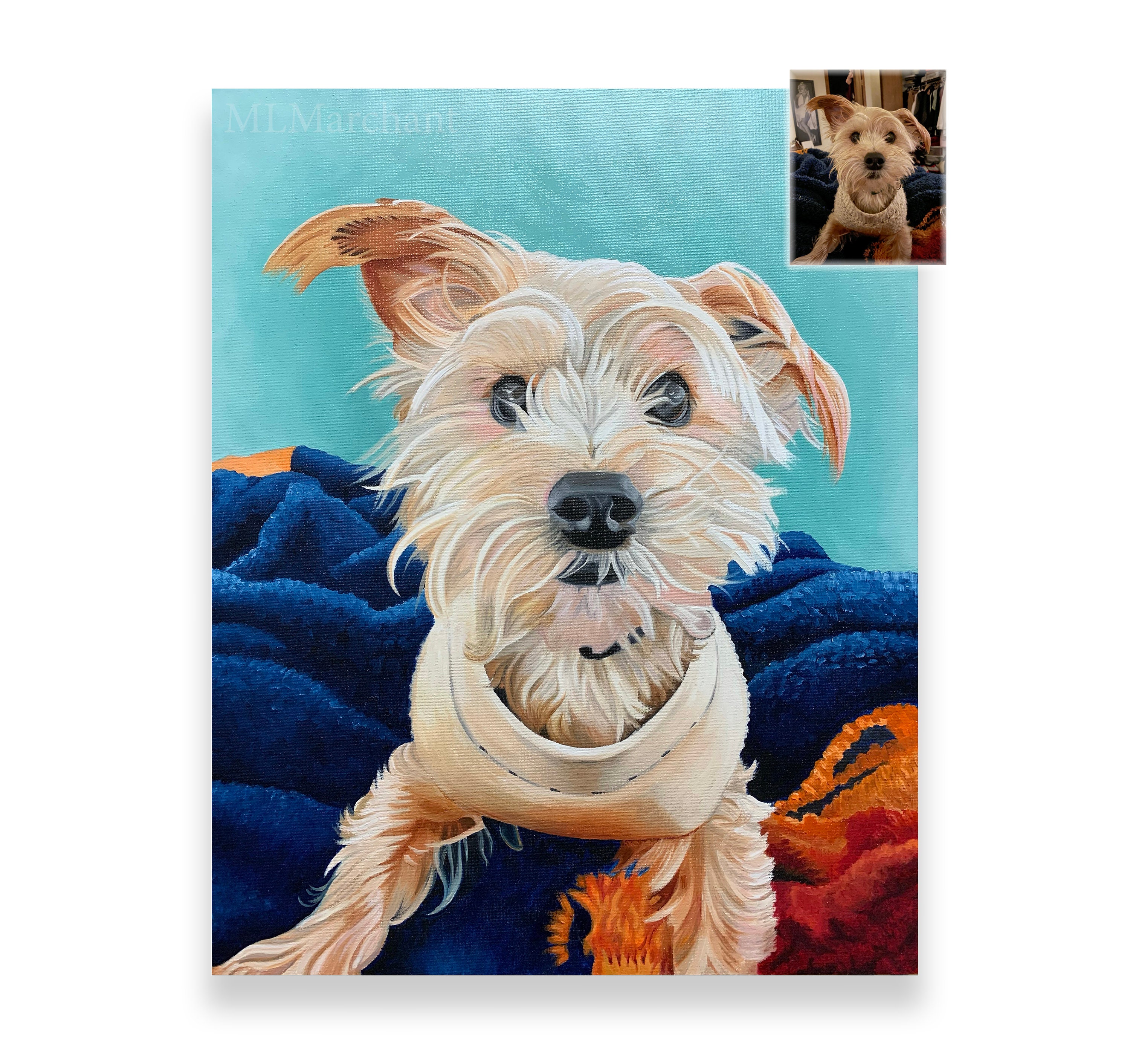 Custom Norfolk Terrier Dog Painting, Pet Portrait