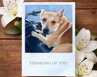Thinking of You Card, Sympathy & Encouragement Cards, Dog Art Card, Cattle Dog Painting Print, Just Because