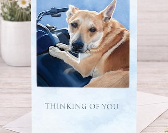 Thinking of You Dog Art Card Set, Set of 10 Greeting Cards 5x7, Sympathy & Encouragement Cards, Blank Inside, Cattle Dog Painting Print