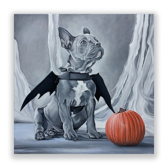 Bat Dog, Bulldog francese in costume da pipistrello per Halloween