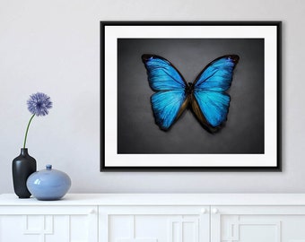 Butterfly Print, Butterfly Art, Blue Butterfly Wall Art, Azure, Sapphire, Gray, Home Decor
