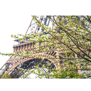 Fotografía de París, Impresión de la Torre Eiffel, Arte de la pared de la Torre Eiffel, Arte de la pared de la sala de estar