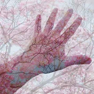 Modern Art Print, Double Exposure, Hand Photography, Whimsical Wall Art, Pink Cherry Blossoms
