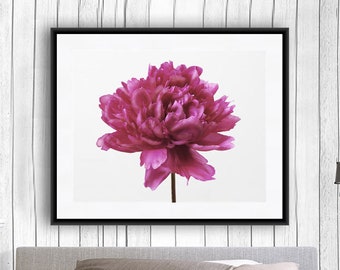 Blume-Wand-Kunst, rosa Pfingstrose Druck, Cottage Chic Wandkunst, Geschenk für sie, rosa Schlafzimmer Wandkunst