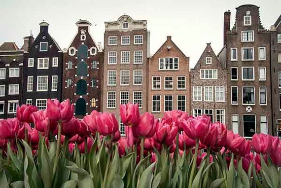 Rows of Tulips Springtime in the Netherlands Photo Art Print Poster 18x12