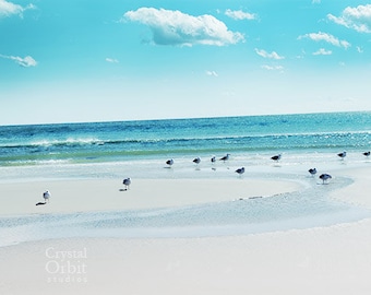 Beach Wall Art, Sea Gulls, Beach Photography, Sand, Sea, Shore Print, Turquoise, Aqua, Nature Print, Cottage Chic Wall Art, Home Decor