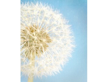 Dandelion Wall Art, Dandelion Canvas Print, Nursery Wall Art, Baby Blue, Beige