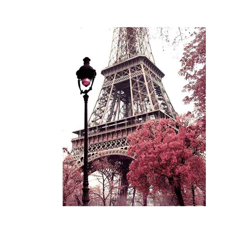 May include: A black street lamp with a pink light bulb stands in front of the Eiffel Tower in Paris, France. The tower is made of metal and is surrounded by pink flowering trees.