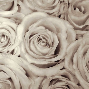 Flower Wall Art, Rose Photography, Black and White Fine Art Photography, Gift for Her, Bedroom Wall Art, Still Life Print